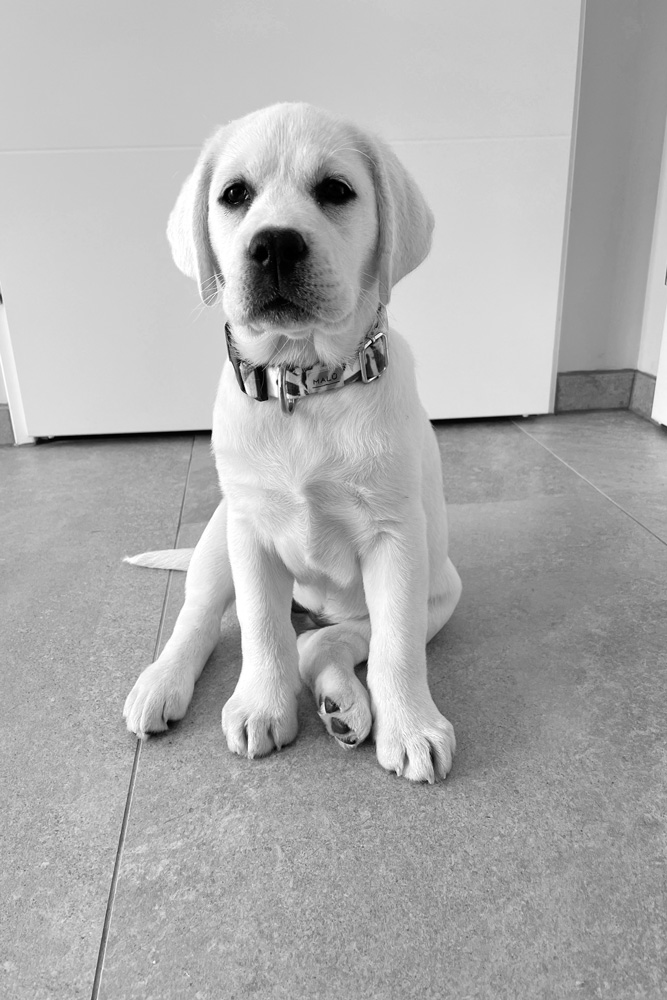 Molly
